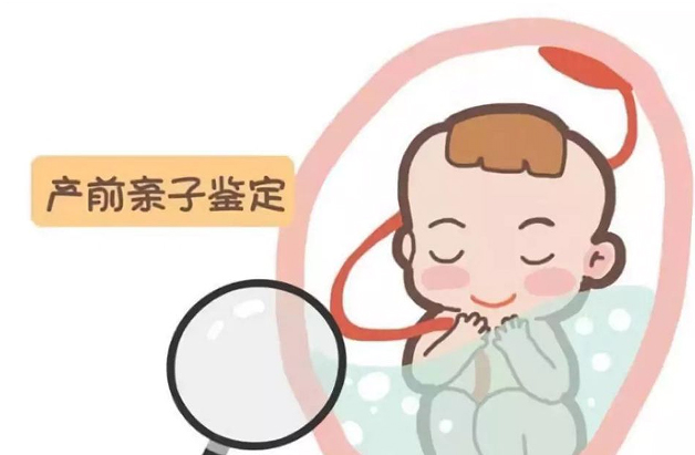 福州怀孕了需要怎么办理怀孕亲子鉴定,福州做无创怀孕亲子鉴定收费多少 福州怀孕了需要怎么办理怀孕亲子鉴定,福州做无创怀孕亲子鉴定收费多少